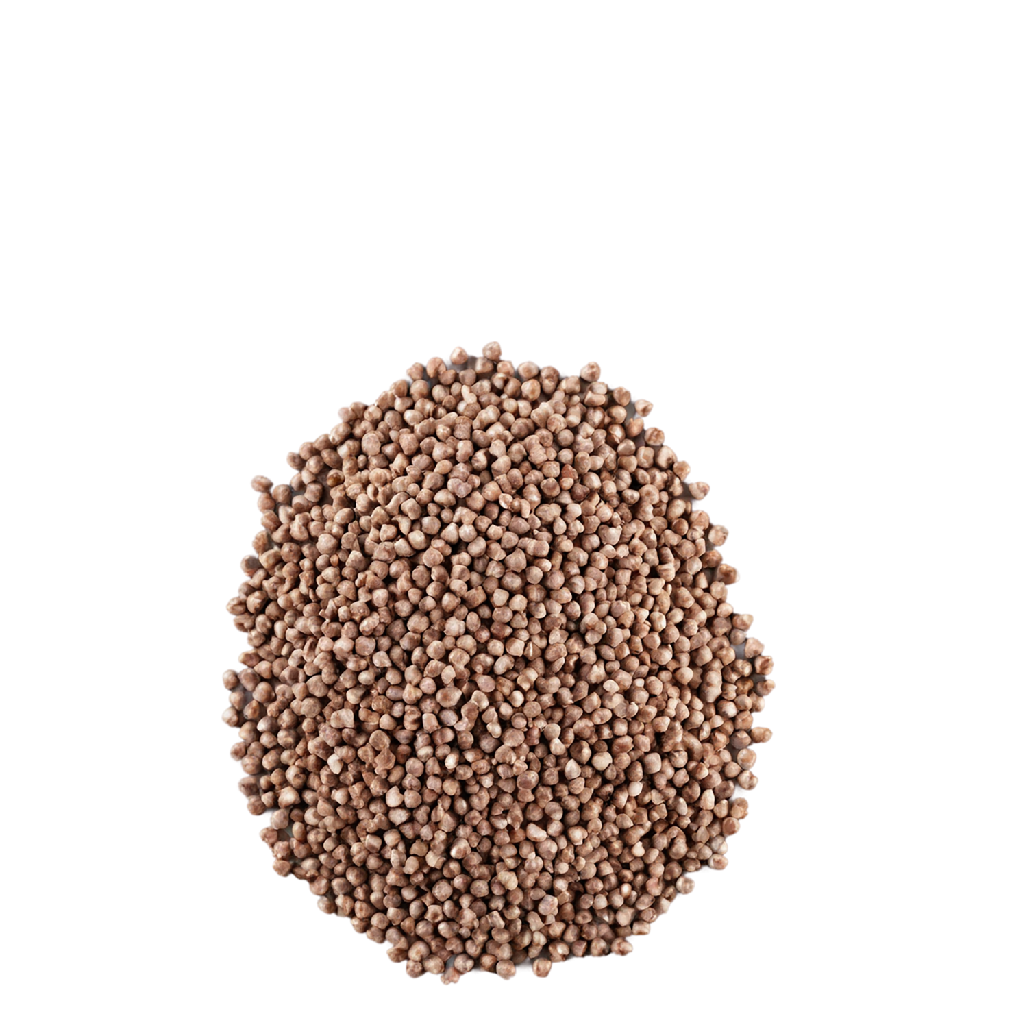 Buckwheat grains isolated on transparent background, #6545