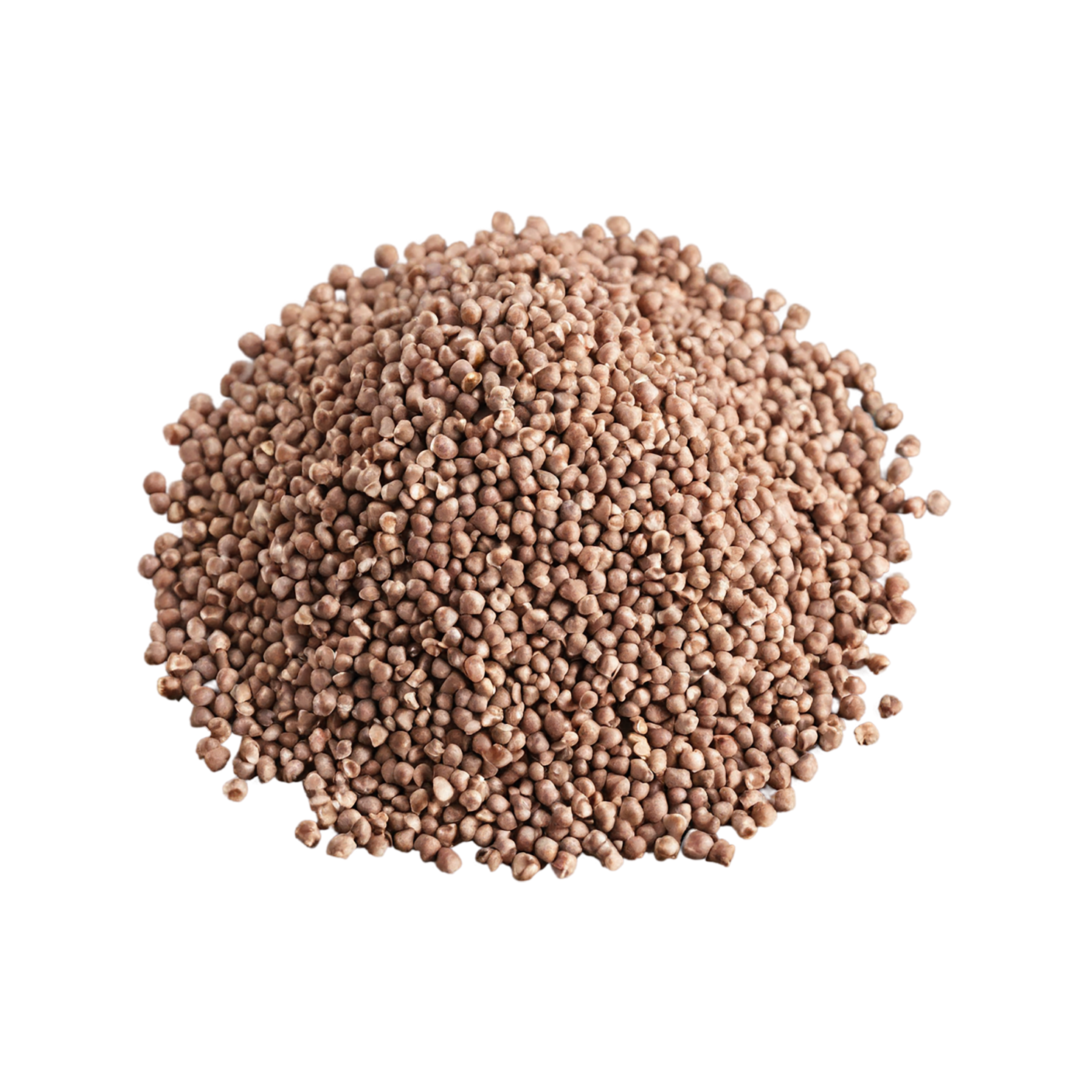 Buckwheat grains isolated on transparent background, #6549