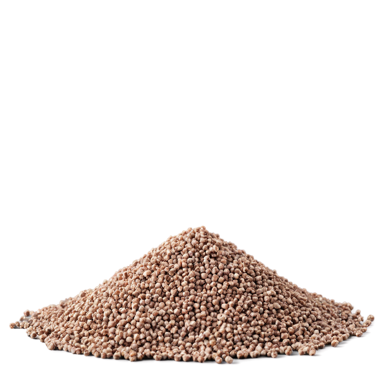 Buckwheat grains isolated on transparent background, #6550