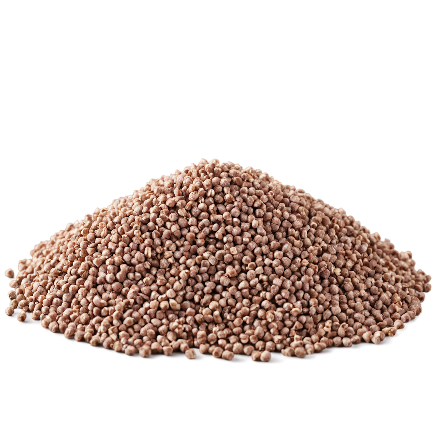 Buckwheat grains isolated on transparent background, #6554