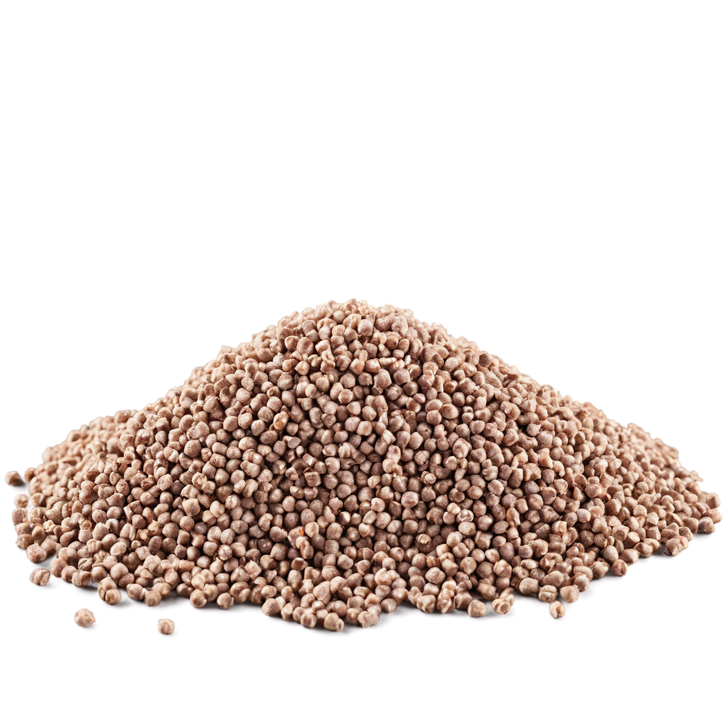 Buckwheat grains isolated on transparent background, #6557