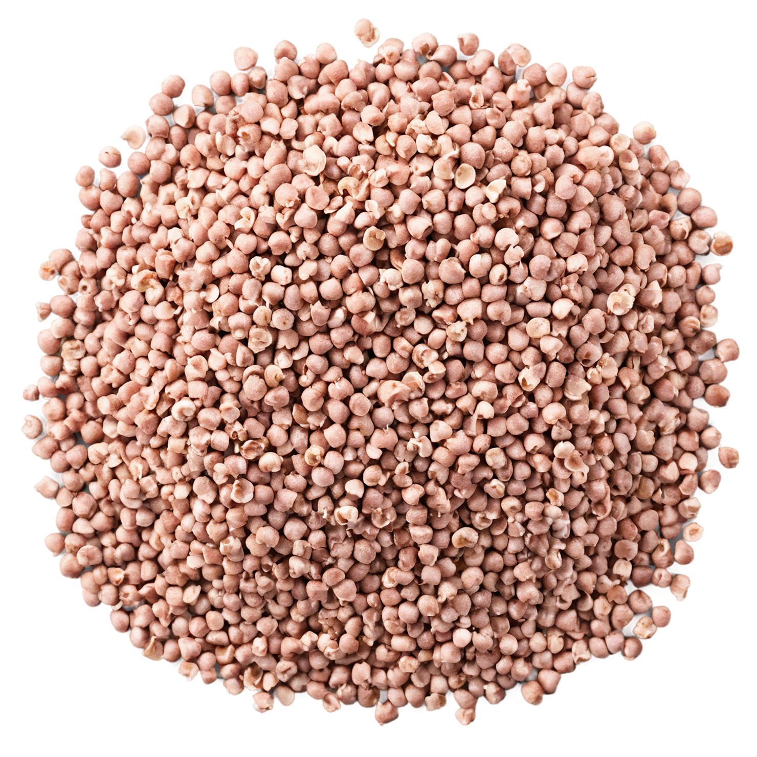 Buckwheat grains isolated on transparent background, #6560