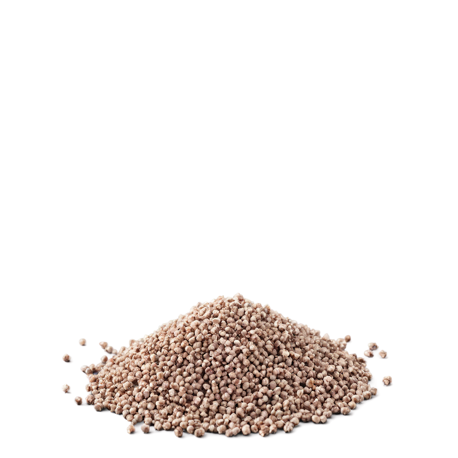 Buckwheat grains isolated on transparent background, #6561