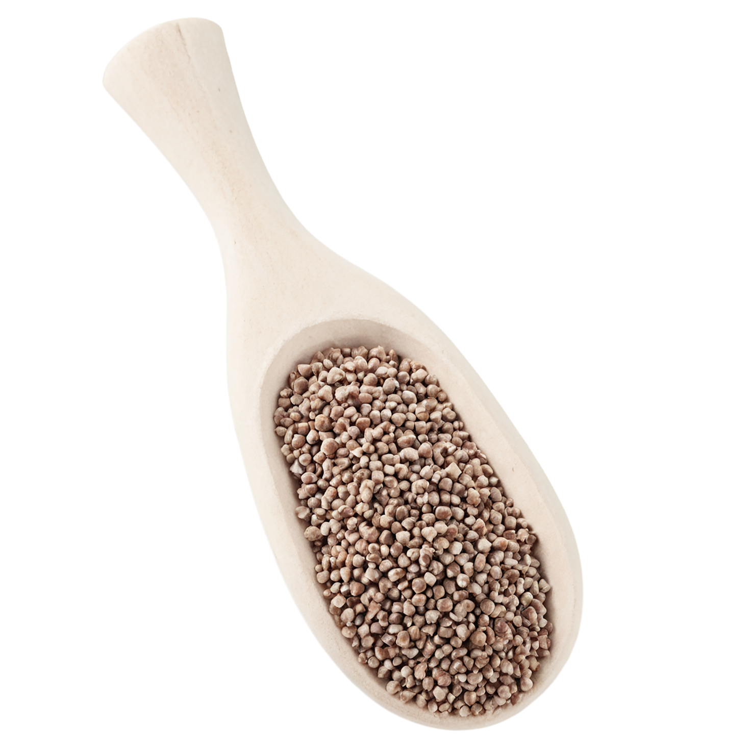 Buckwheat grains isolated on transparent background, #6563