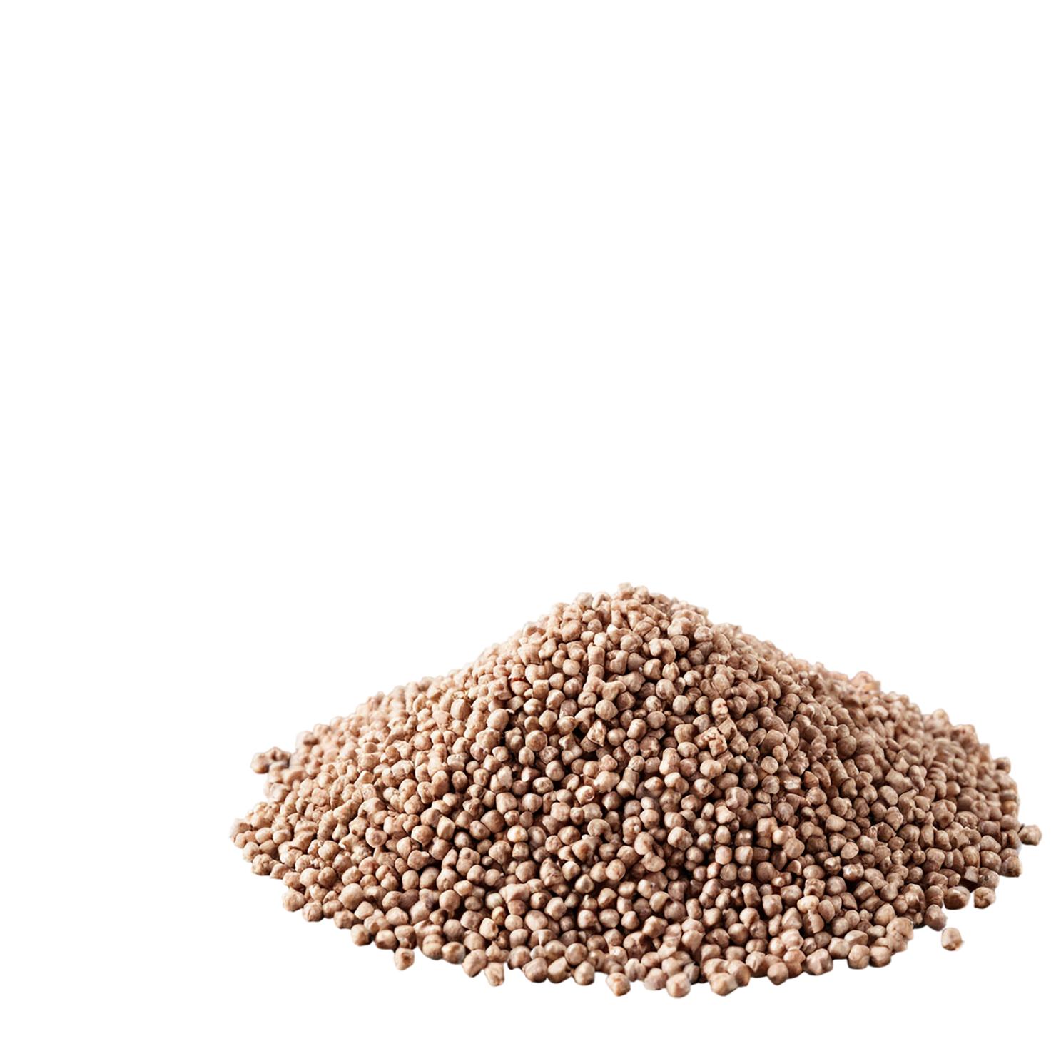 Buckwheat grains isolated on transparent background, #6567