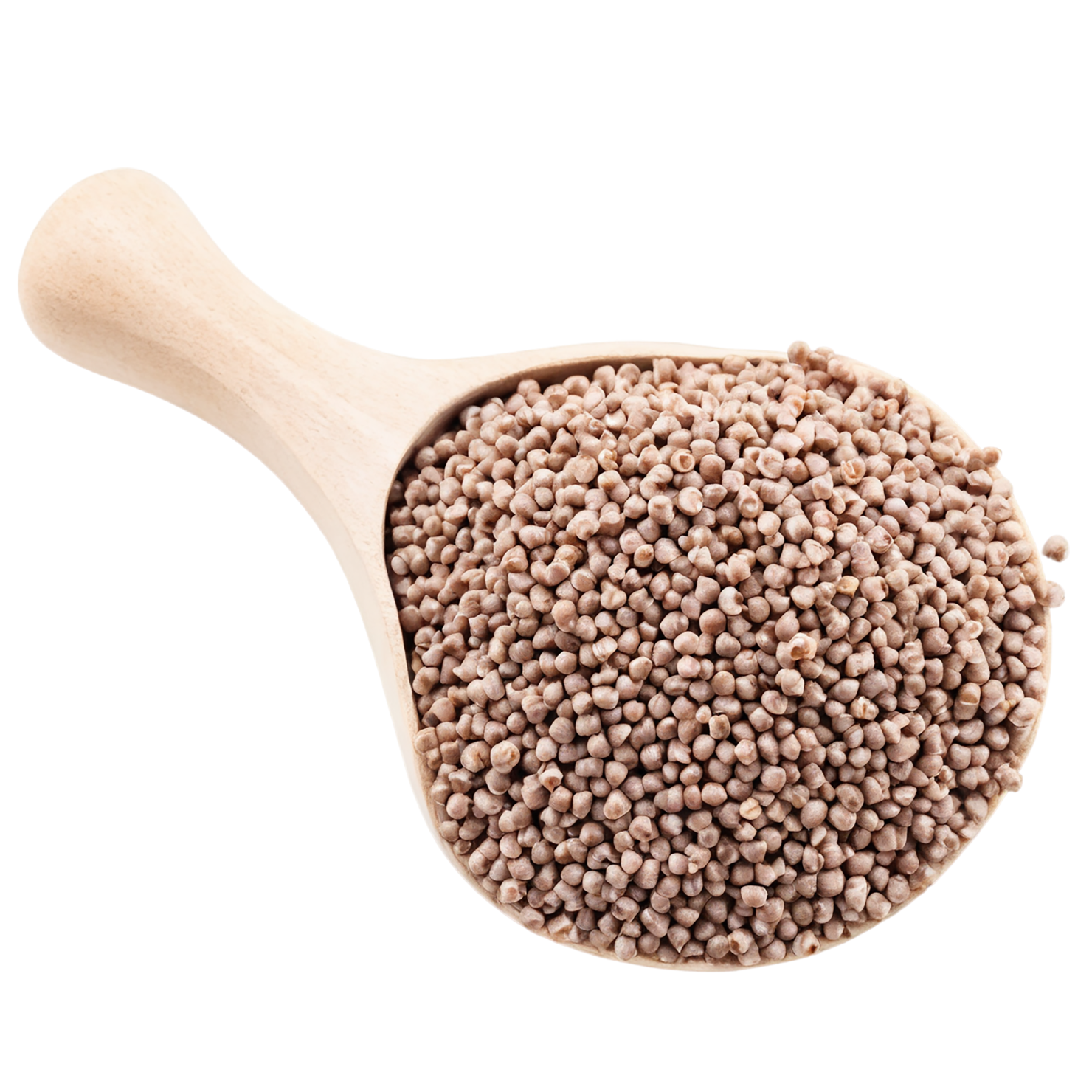 Buckwheat grains isolated on transparent background, #6568