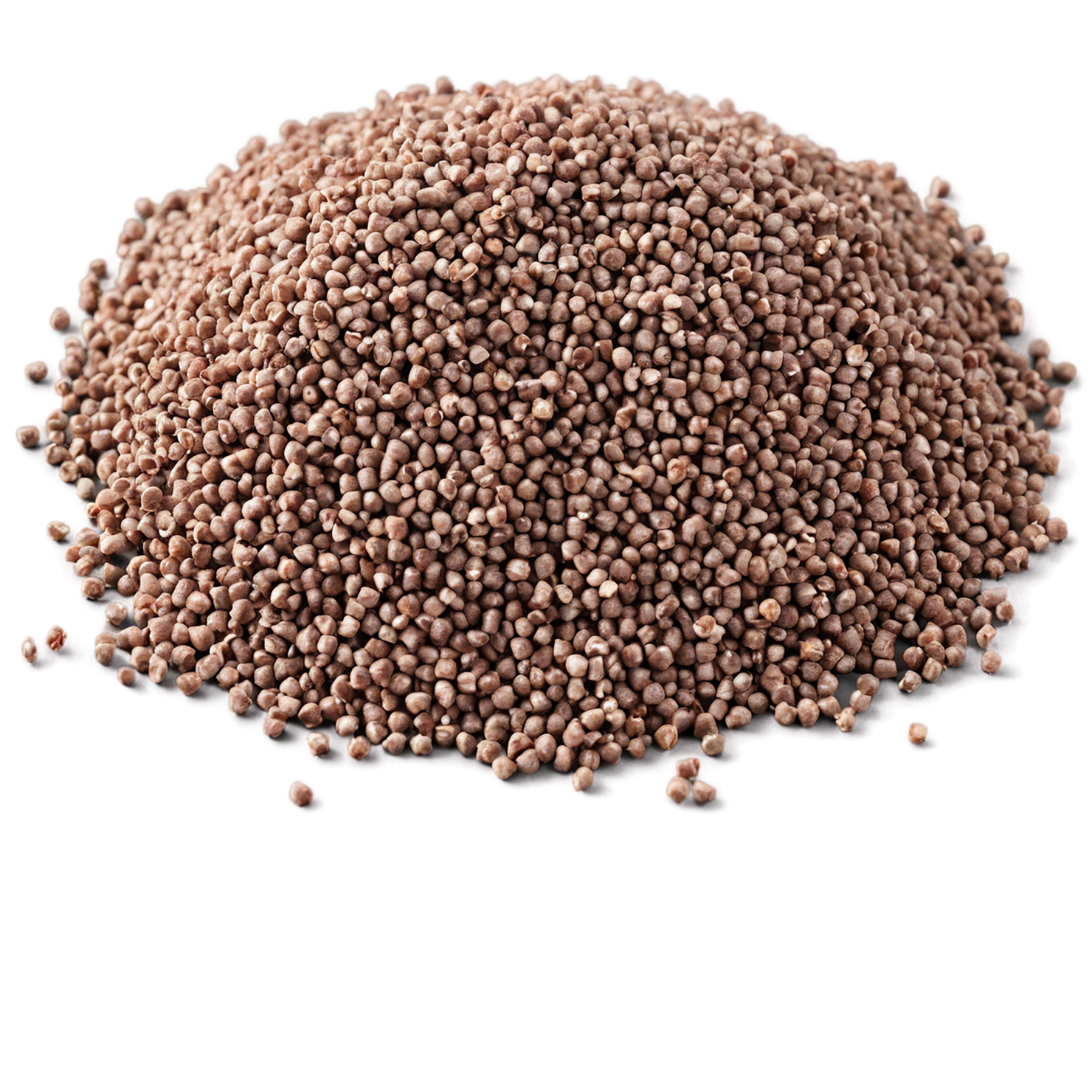 Buckwheat grains isolated on transparent background, #6569