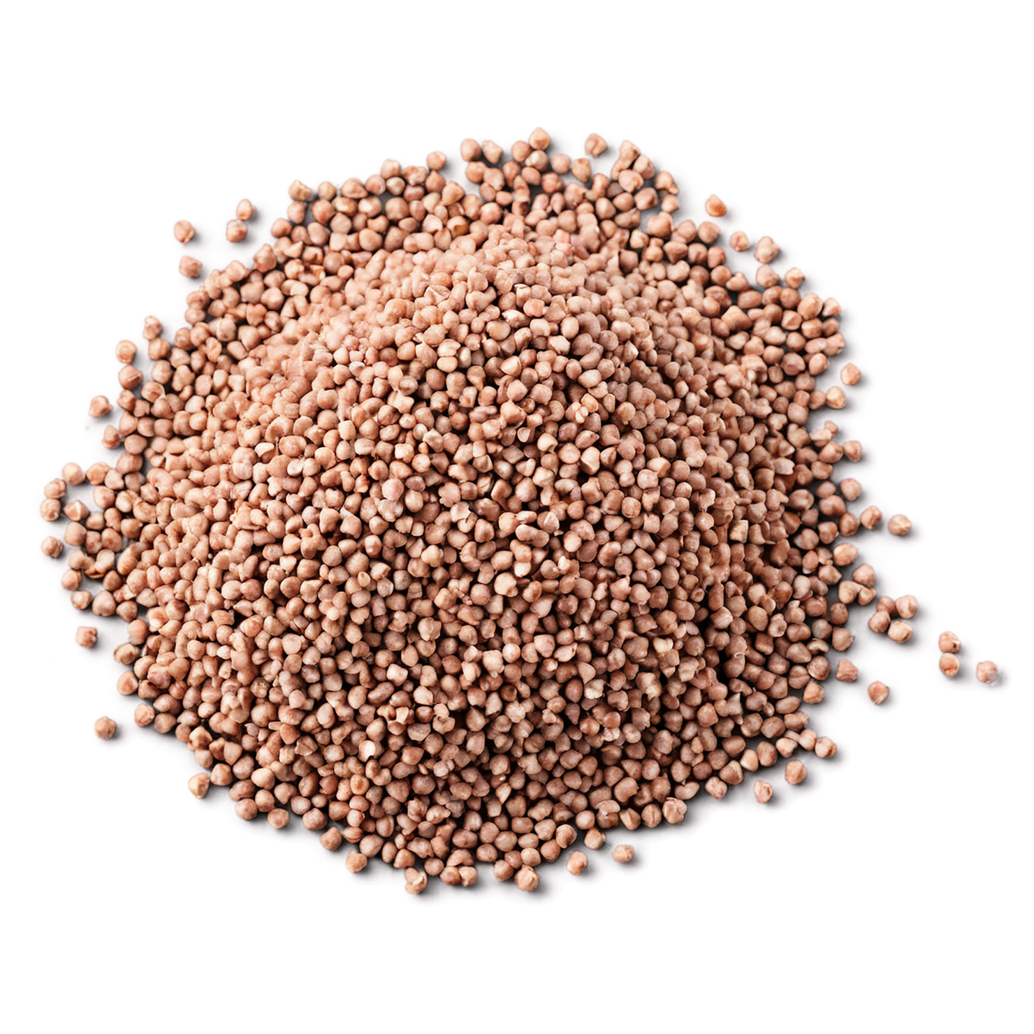Buckwheat grains isolated on transparent background, #6570
