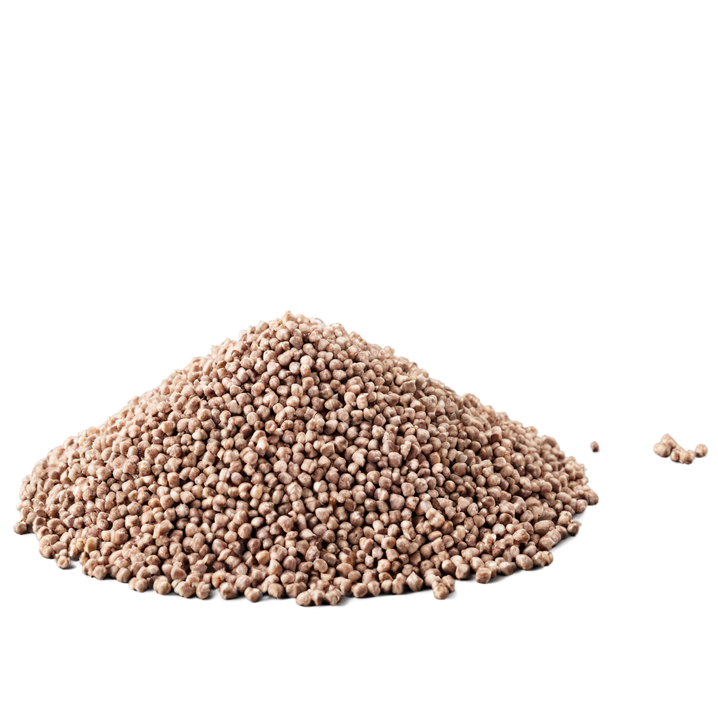 Buckwheat grains isolated on transparent background, #6571