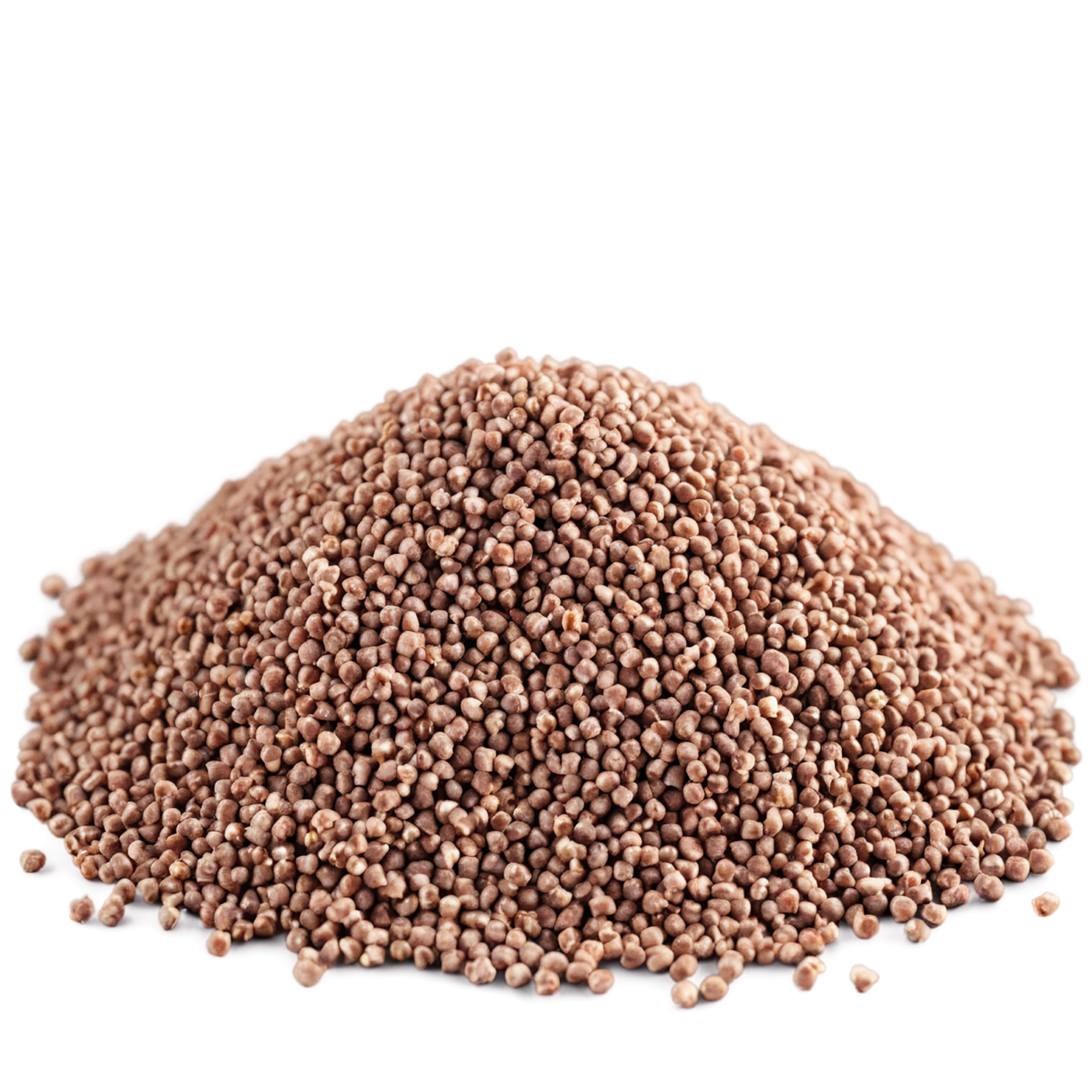 Buckwheat grains isolated on transparent background, #6572