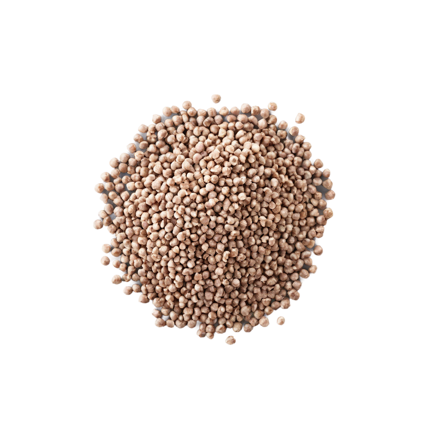 Buckwheat grains isolated on transparent background, #6573