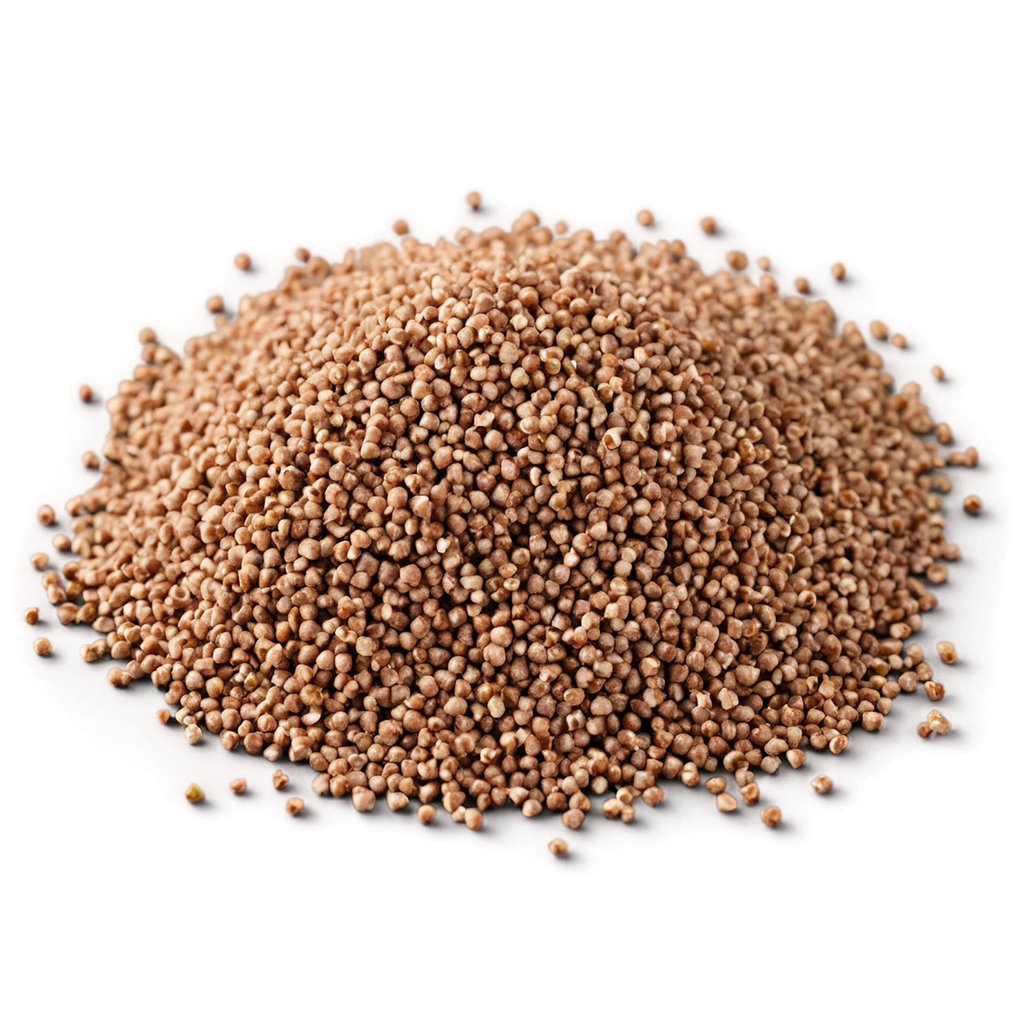 Buckwheat grains isolated on transparent background, #6574
