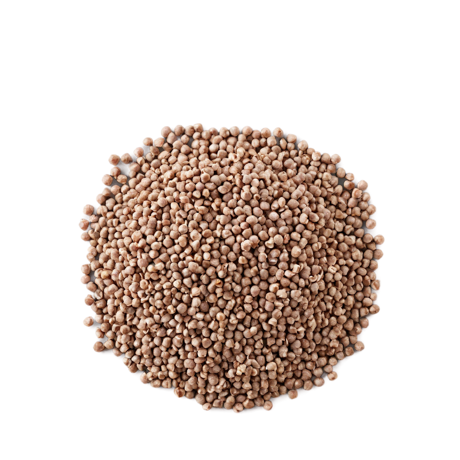 Buckwheat grains isolated on transparent background, #6575