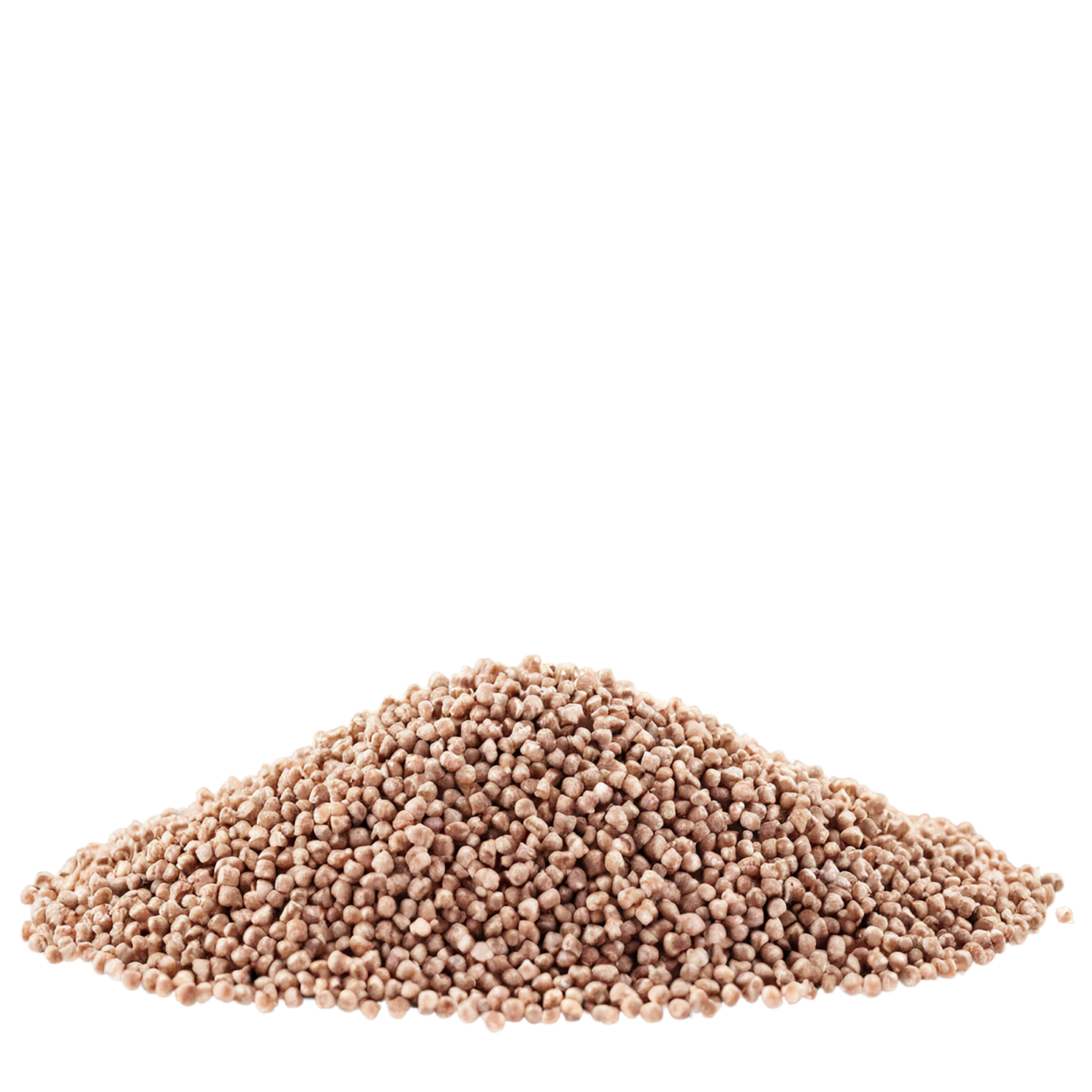 Buckwheat grains isolated on transparent background, #6576
