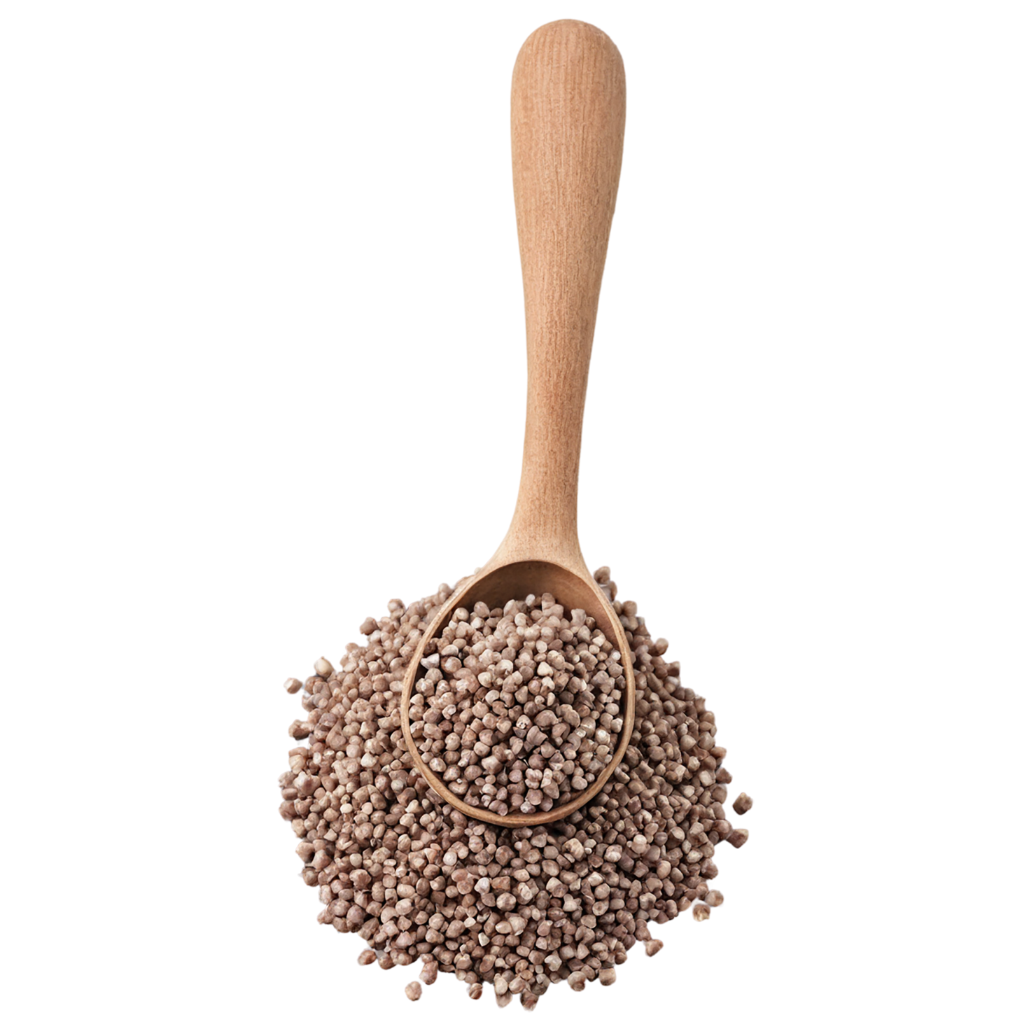 Buckwheat grains isolated on transparent background, #6578