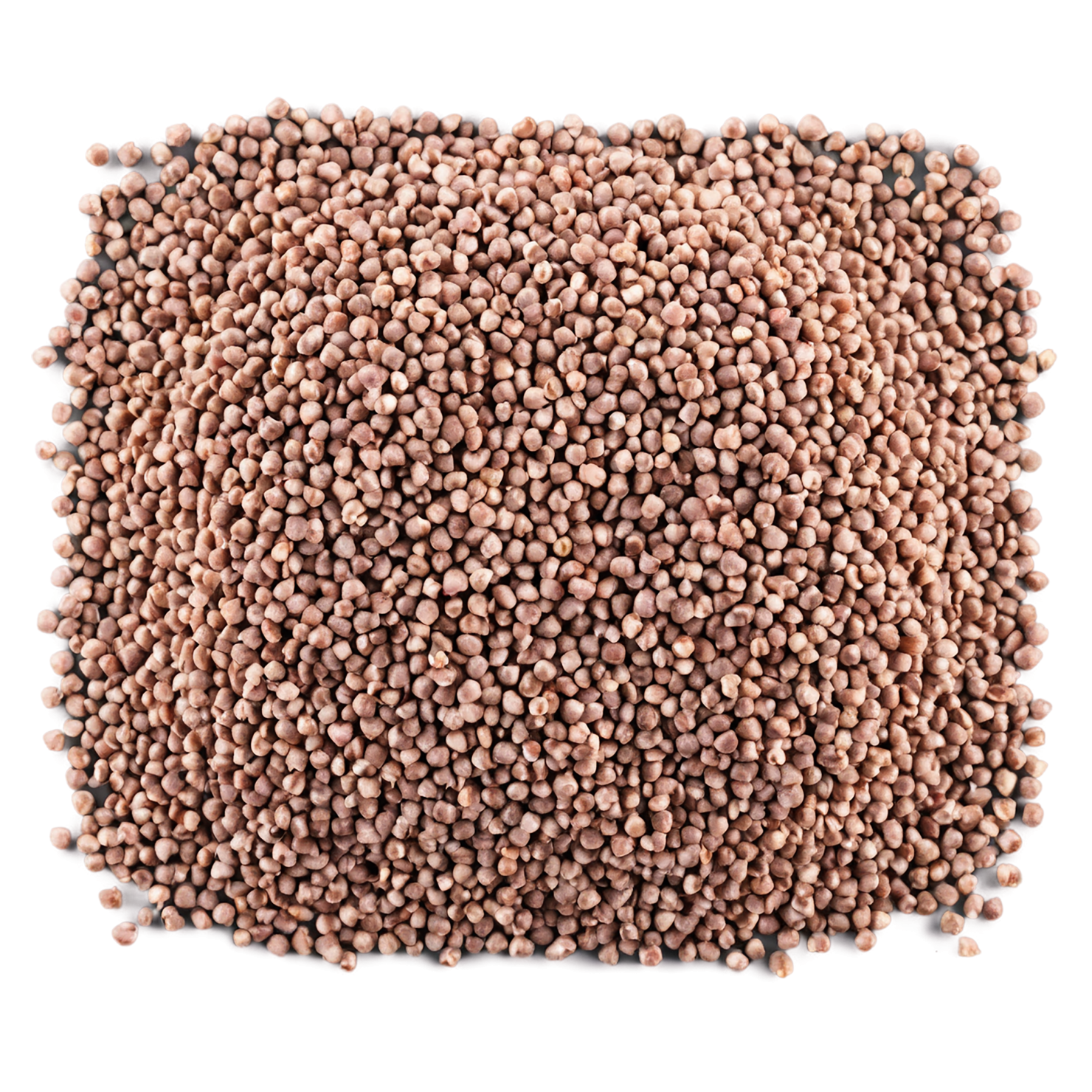 Buckwheat grains isolated on transparent background, #6579