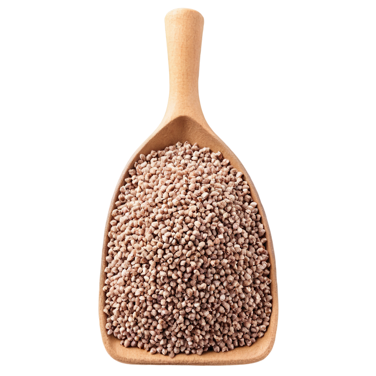 Buckwheat grains isolated on transparent background, #6580