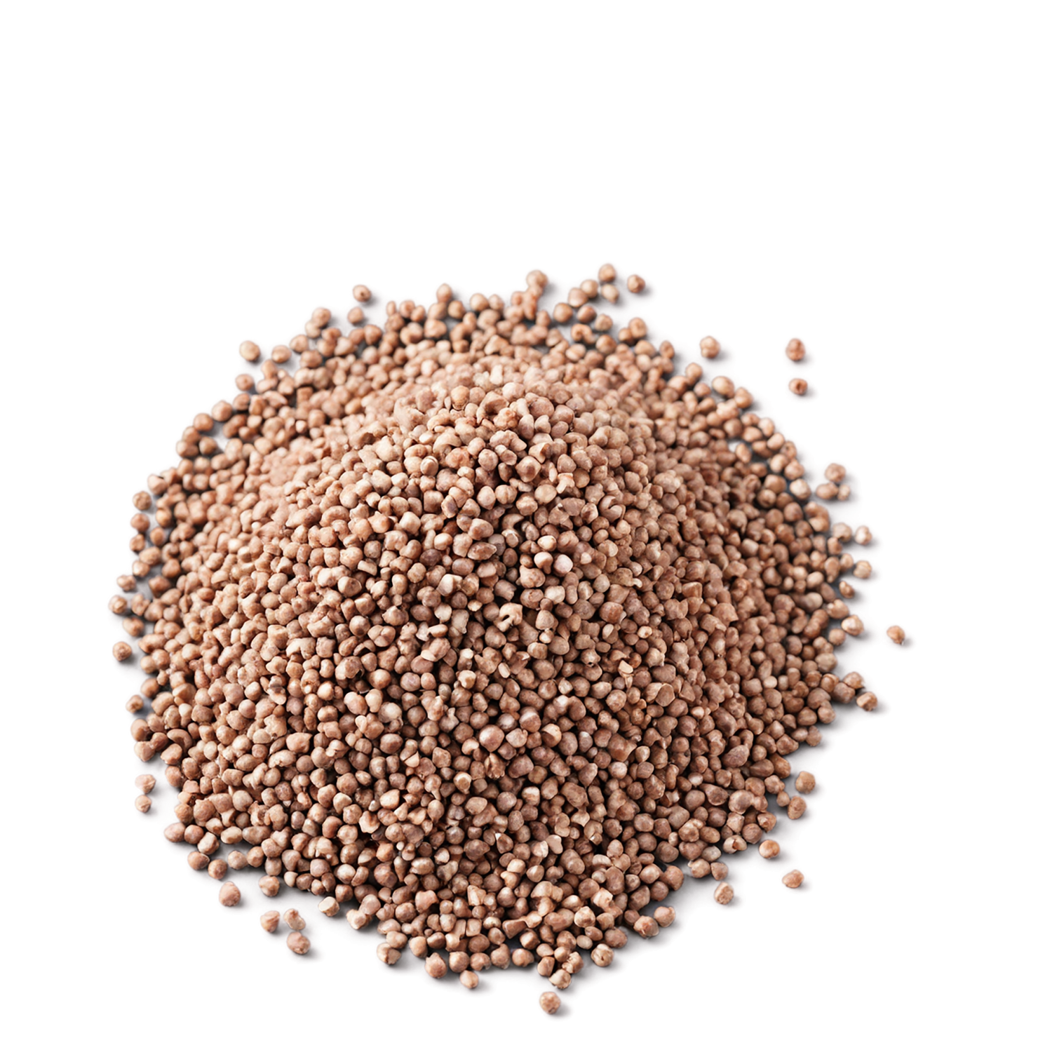 Buckwheat grains isolated on transparent background, #6581