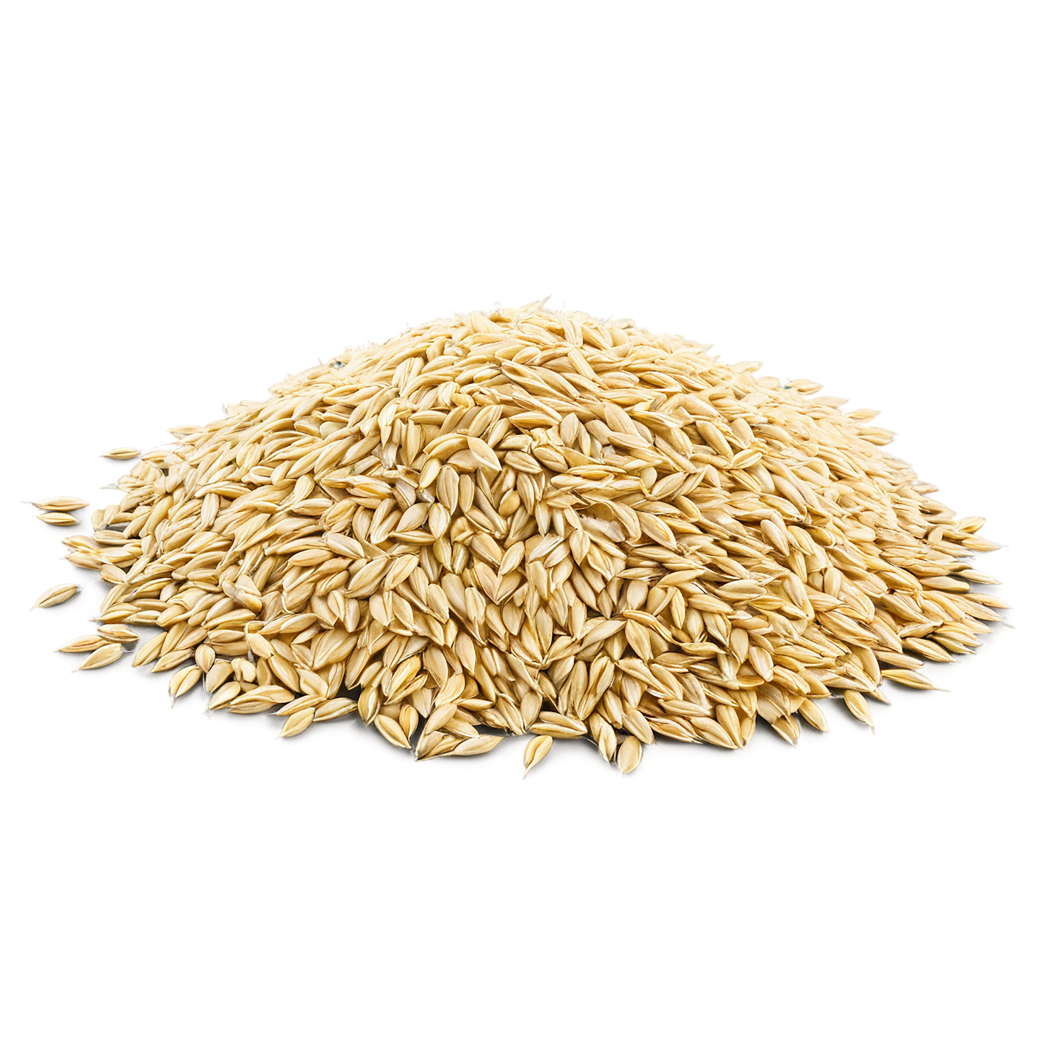 Barley grains isolated on transparent background, #6661