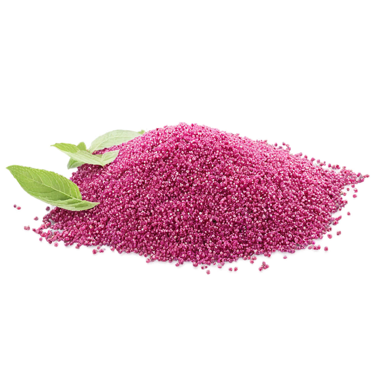 Amaranth grains isolated on transparent background, #6699