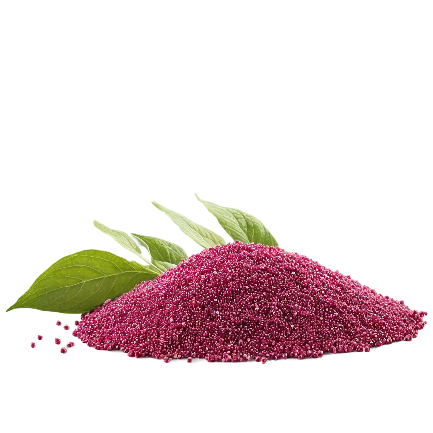 Amaranth grains isolated on transparent background, #6730