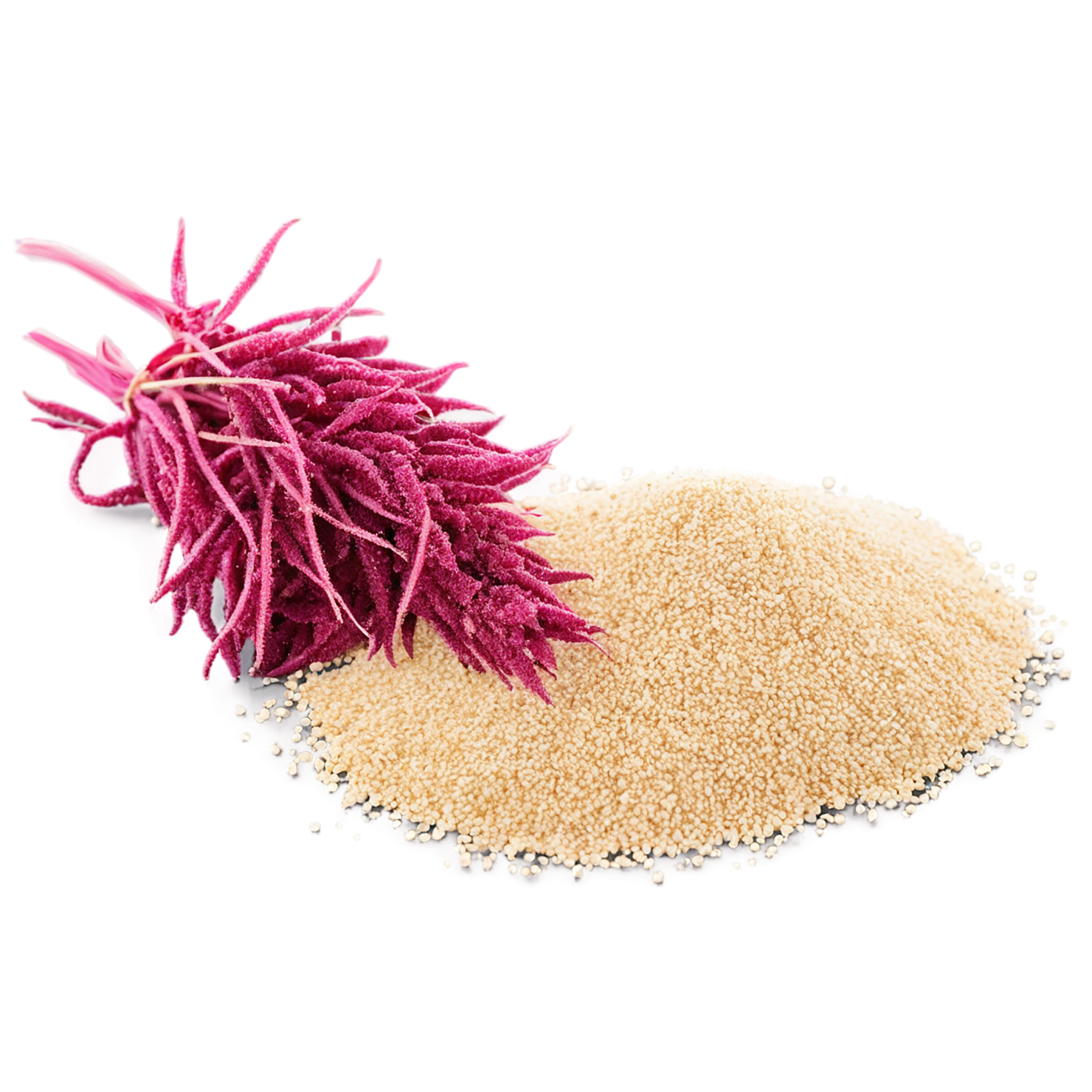 Amaranth grains isolated on transparent background, #6738