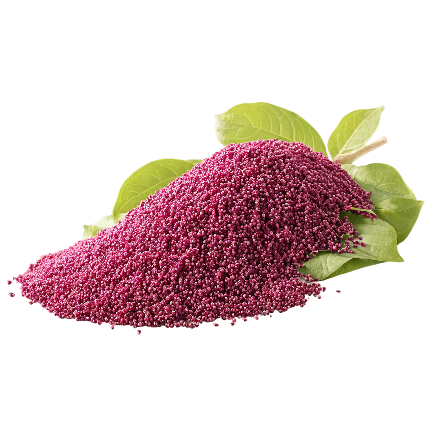 Amaranth grains isolated on transparent background, #6742