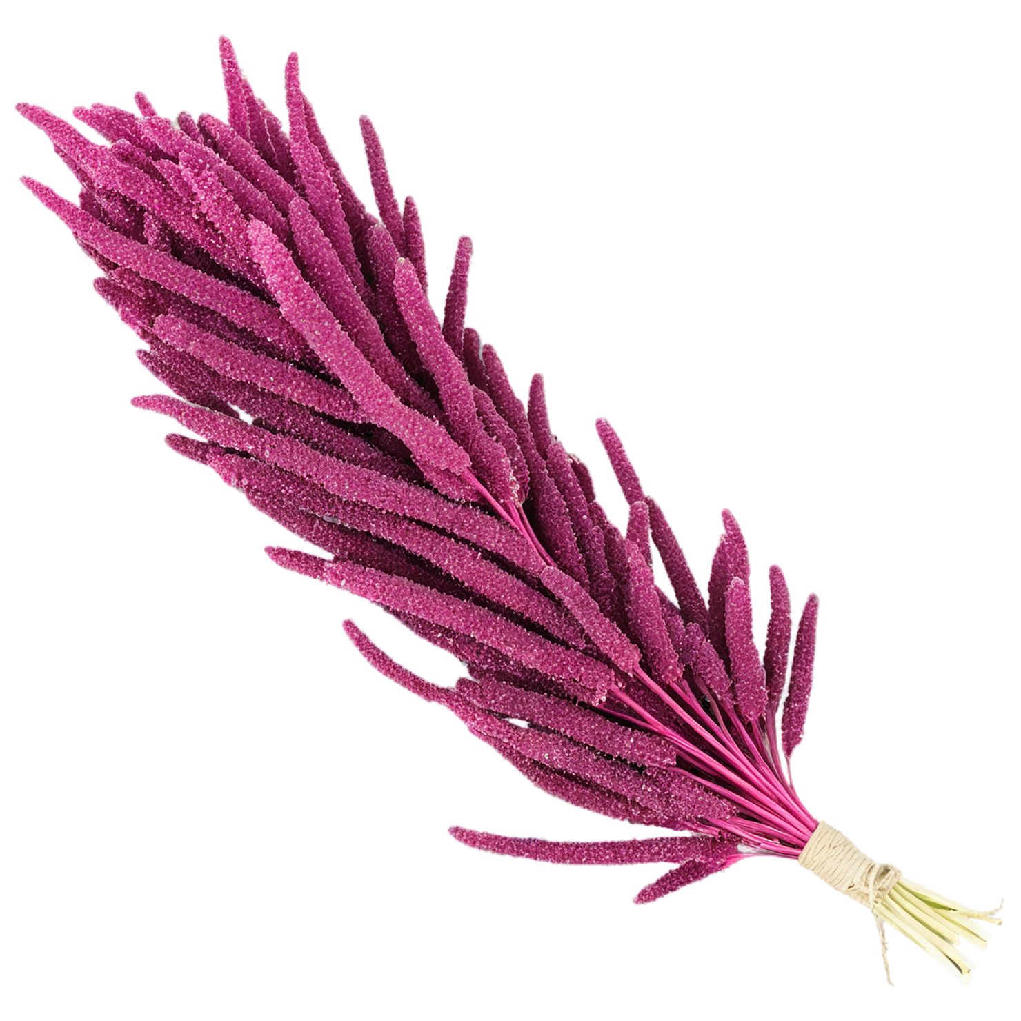 Amaranth grains isolated on transparent background, #6747