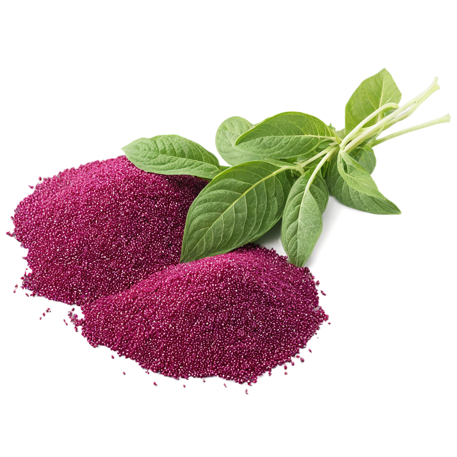Amaranth grains isolated on transparent background, #6753