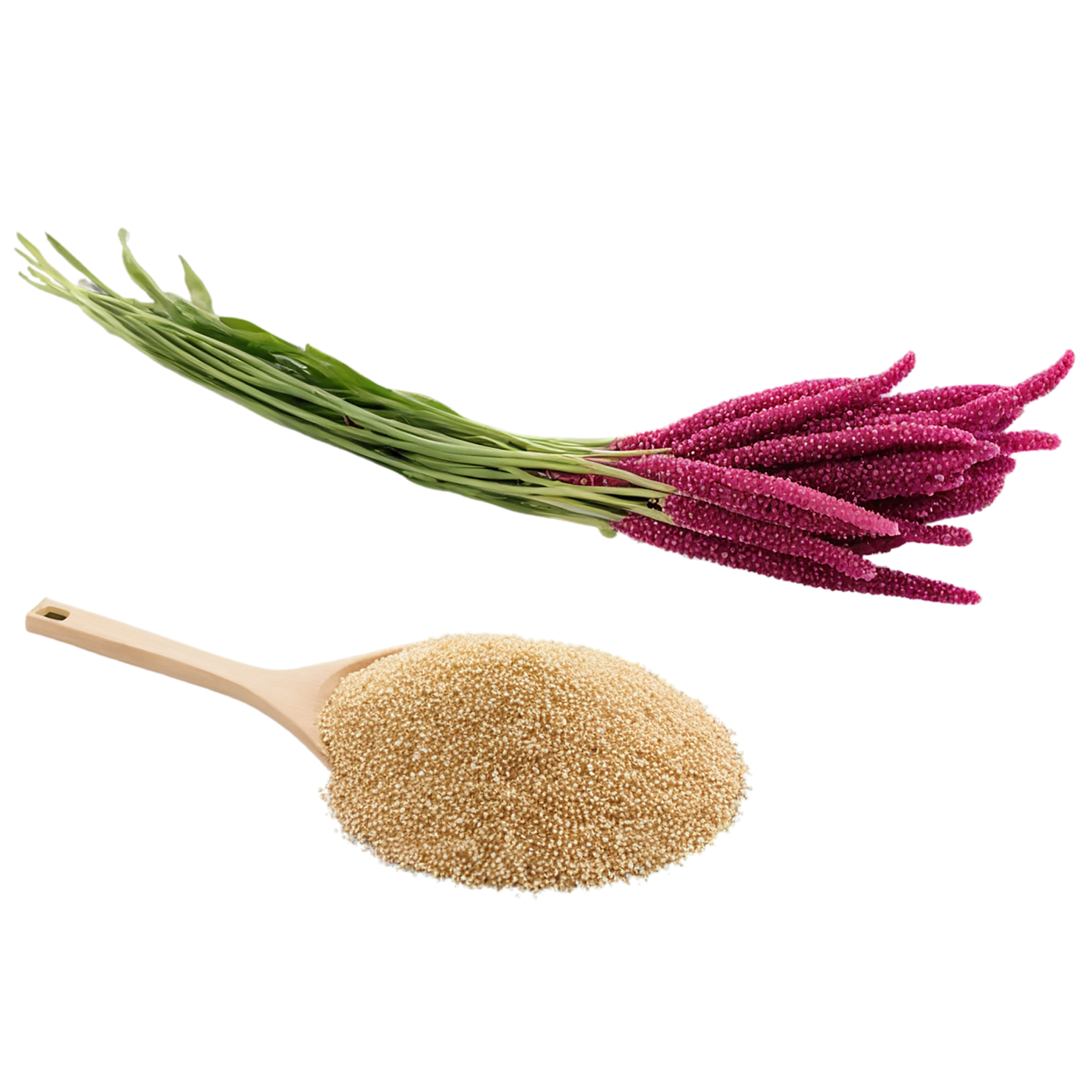 Amaranth grains isolated on transparent background, #6769