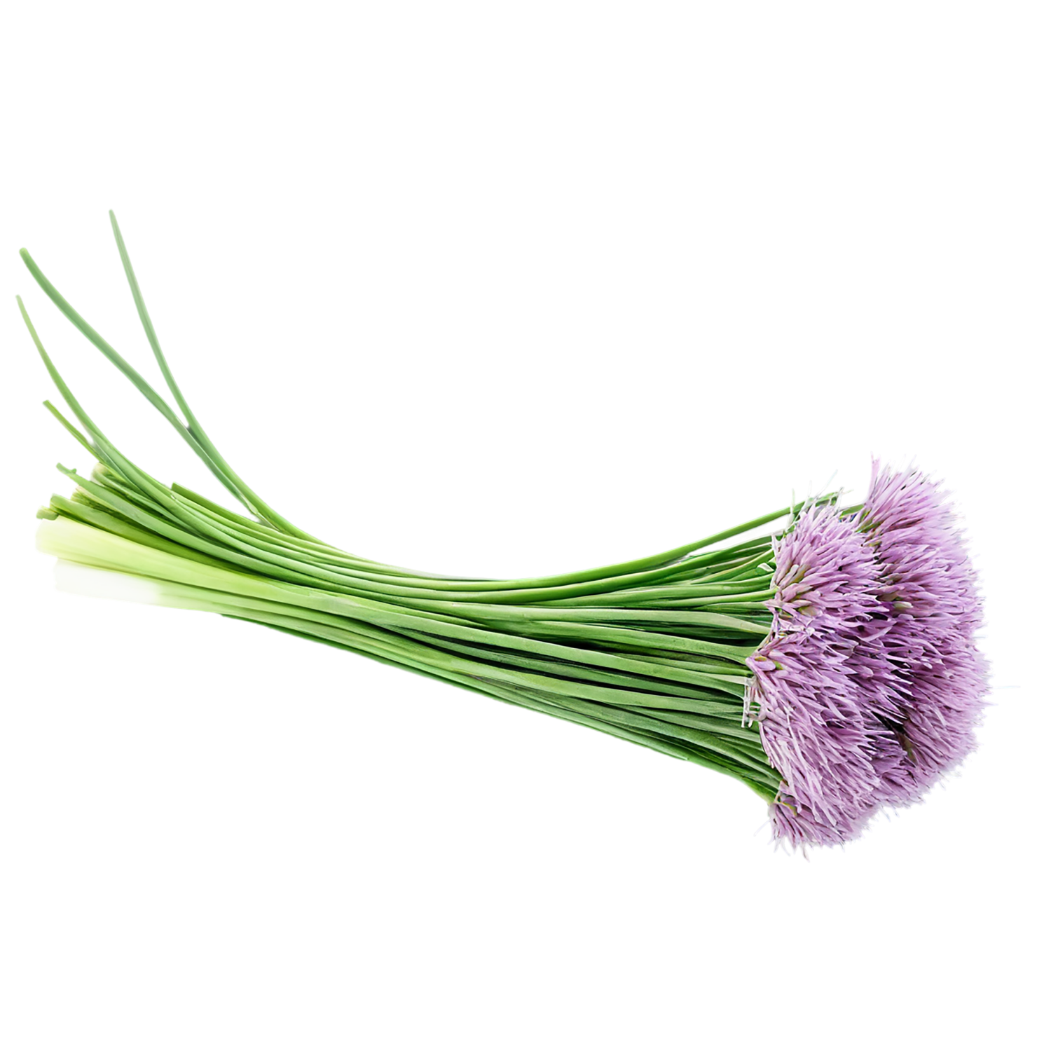 Chives Herbs isolated on transparent background, #6852