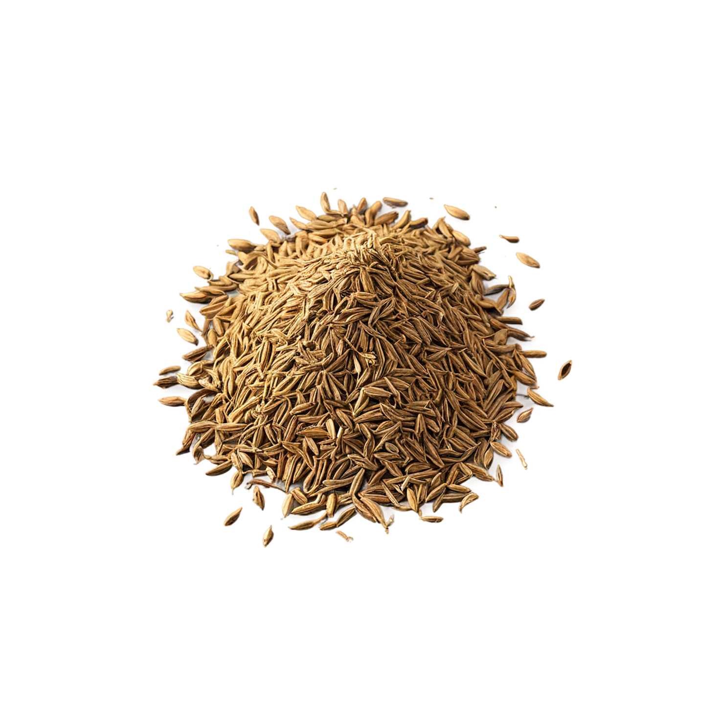 Cumin Herbs isolated on transparent background, #6896