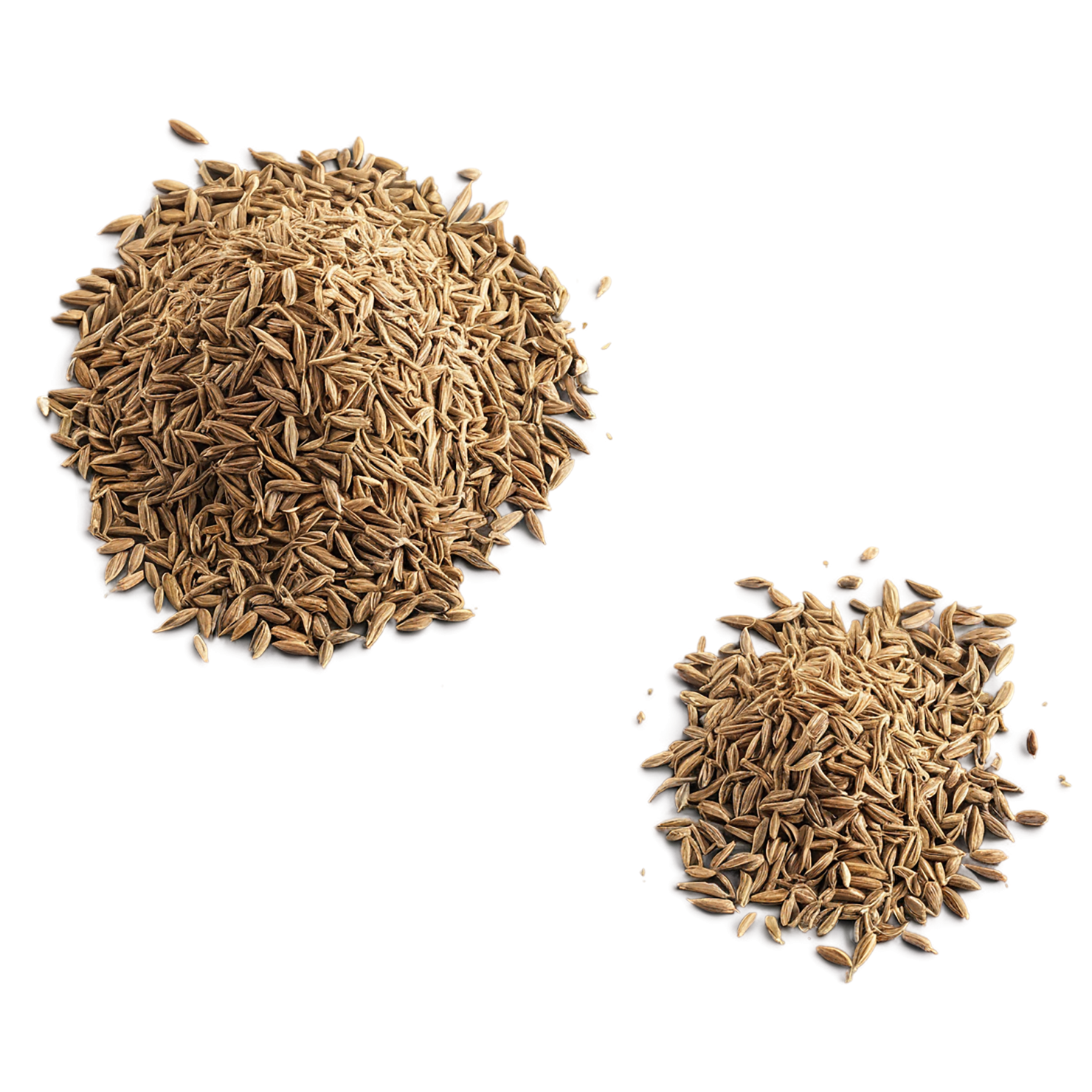 Cumin Herbs isolated on transparent background, #6897