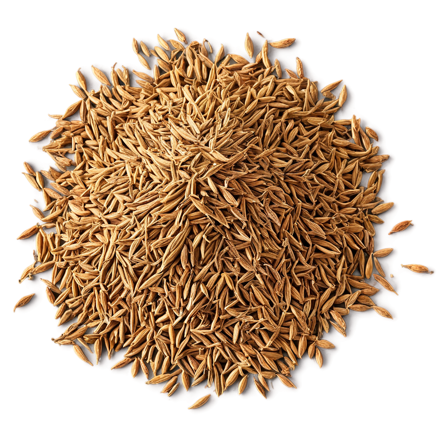 Cumin Herbs isolated on transparent background, #6898