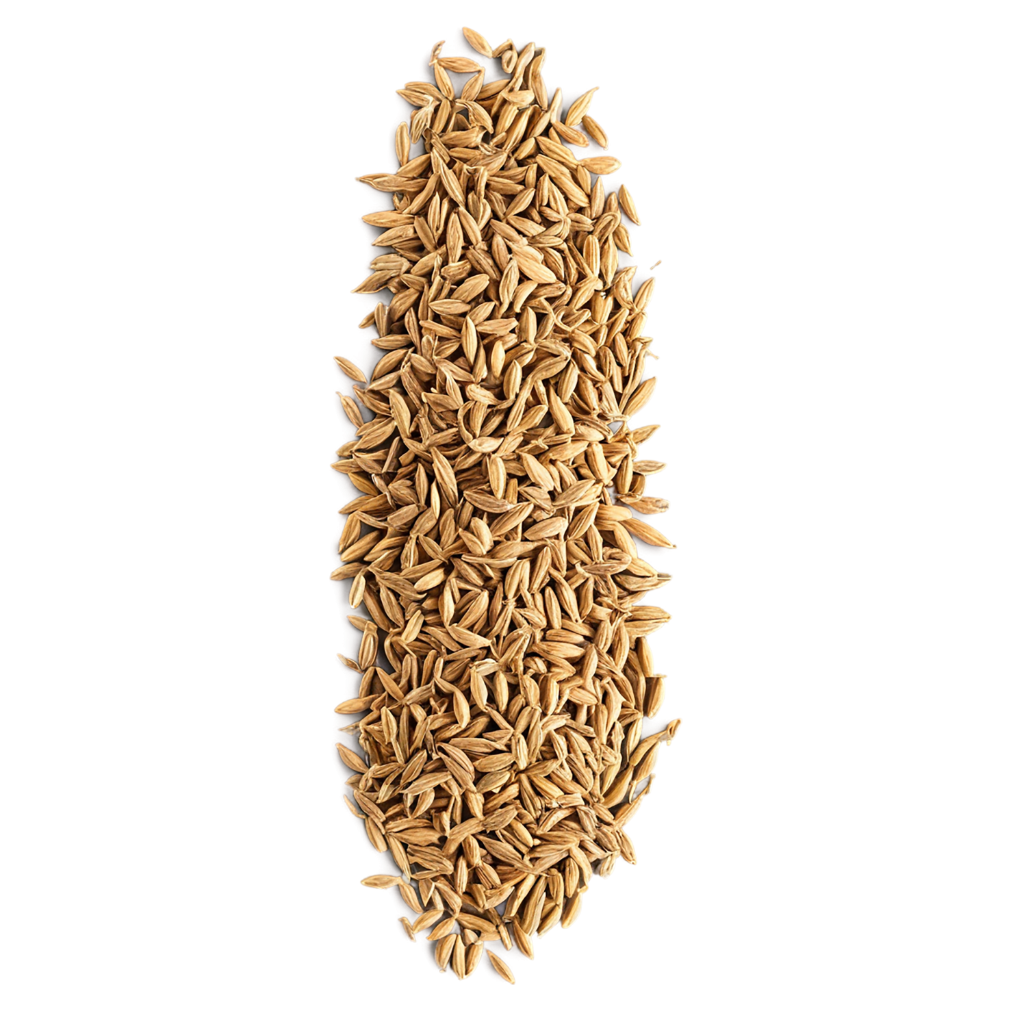 Cumin Herbs isolated on transparent background, #6899