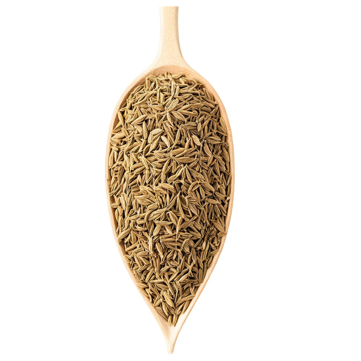Cumin Herbs isolated on transparent background, #6900