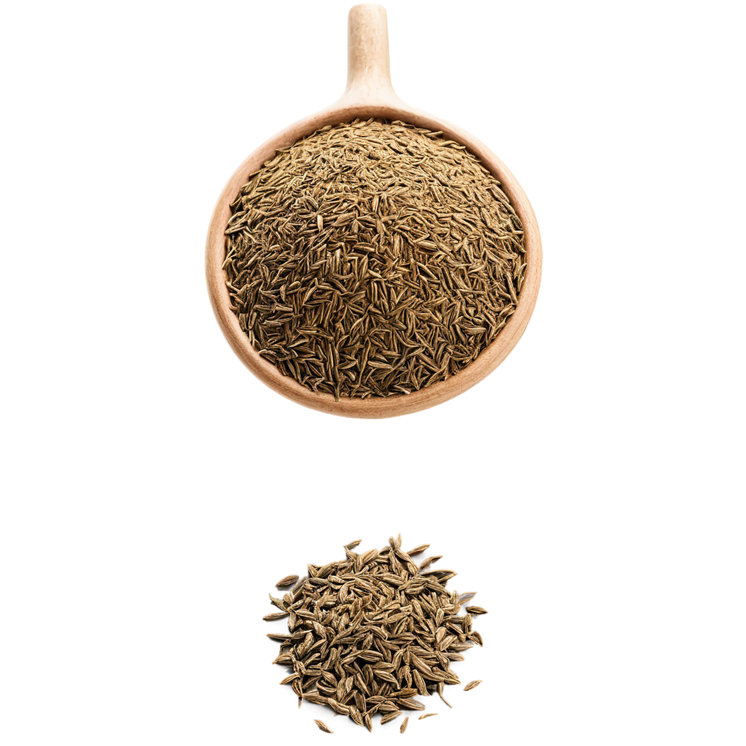 Cumin Herbs isolated on transparent background, #6901