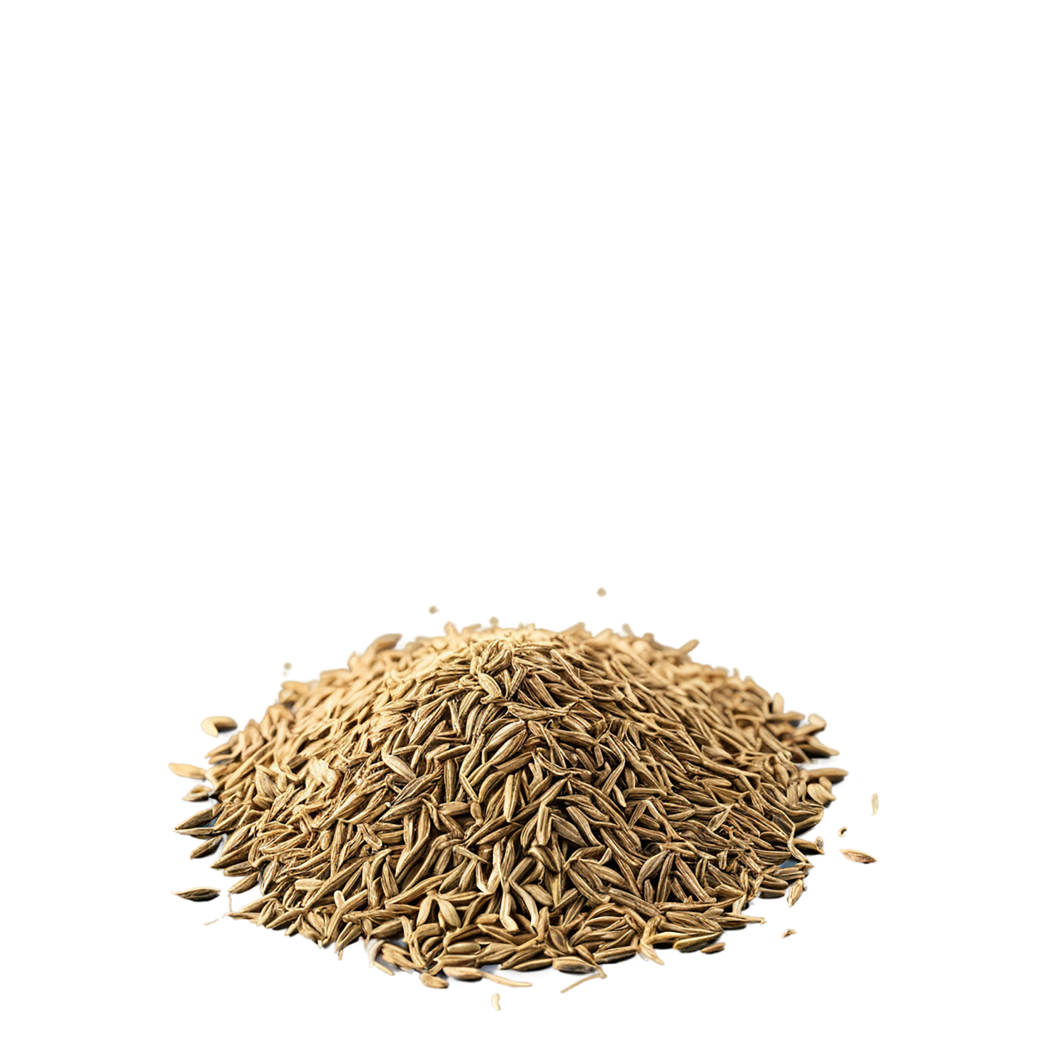 Cumin Herbs isolated on transparent background, #6902