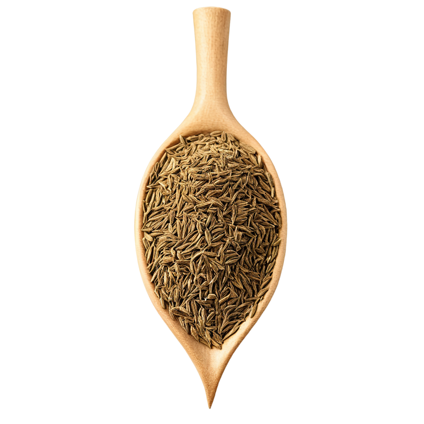 Cumin Herbs isolated on transparent background, #6903