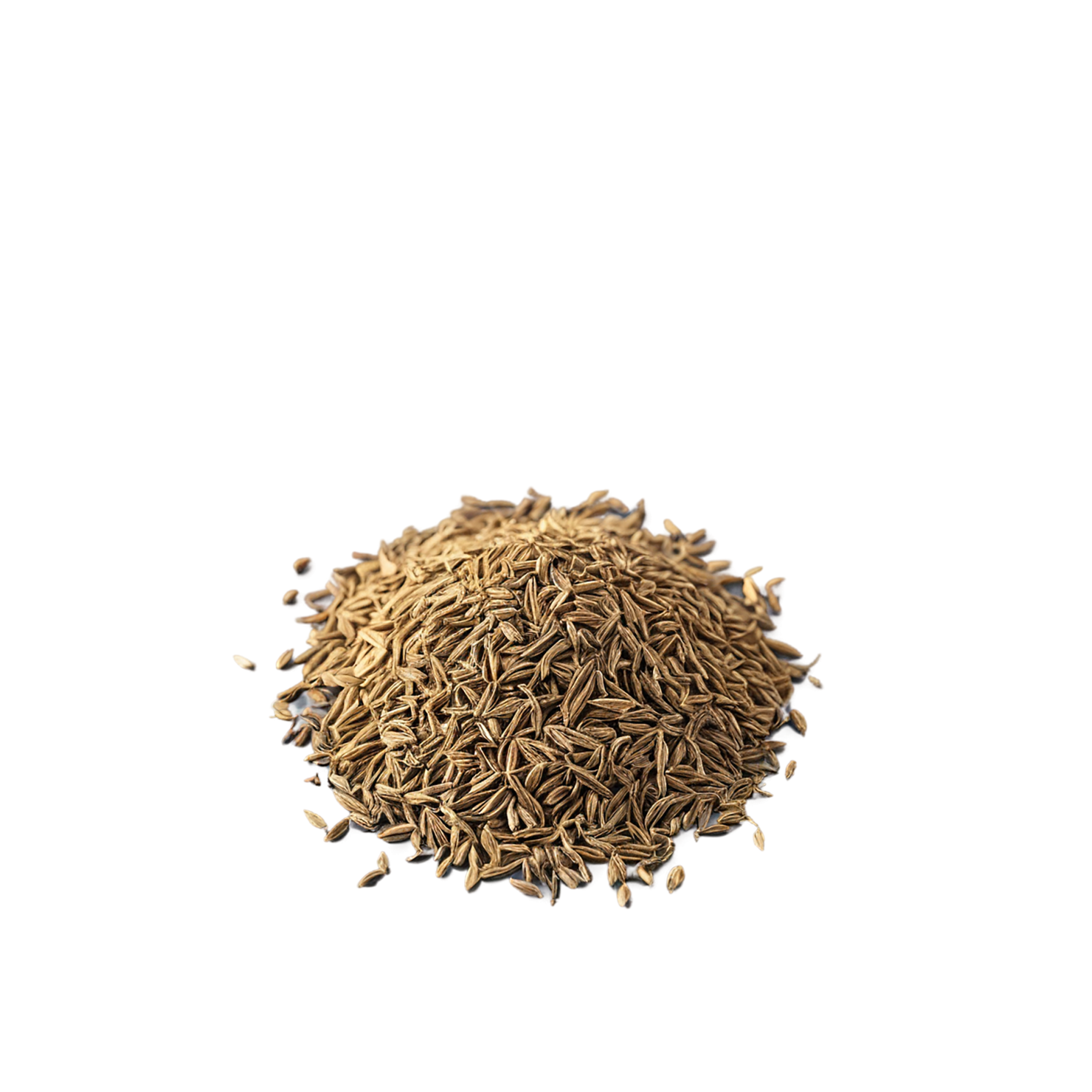 Cumin Herbs isolated on transparent background, #6904
