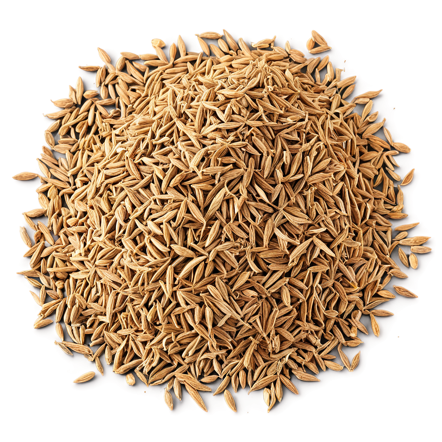 Cumin Herbs isolated on transparent background, #6905