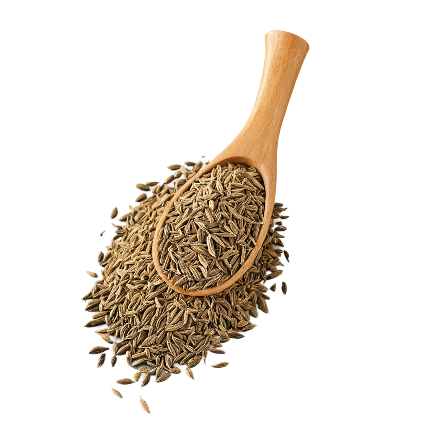 Cumin Herbs isolated on transparent background, #6907