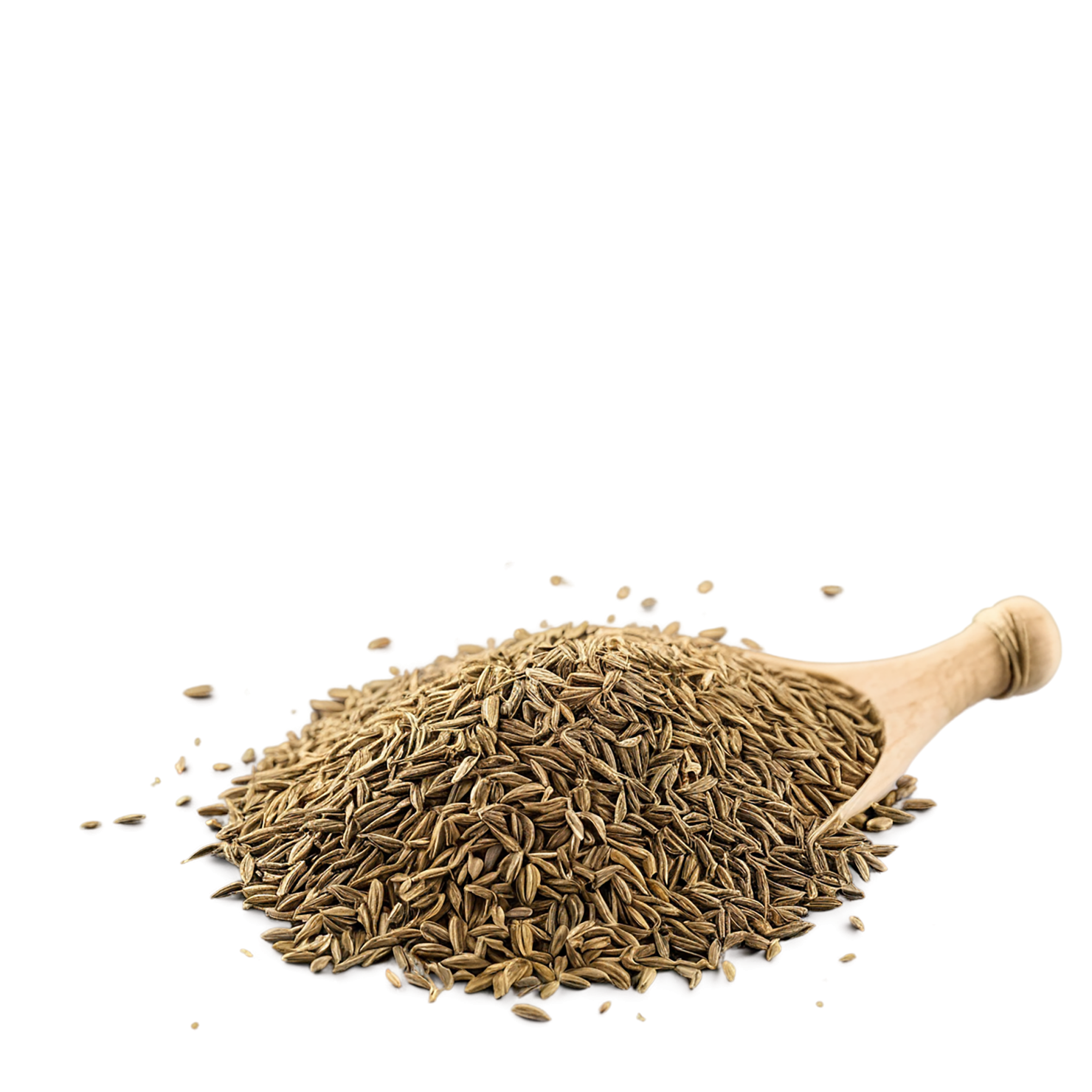 Cumin Herbs isolated on transparent background, #6908