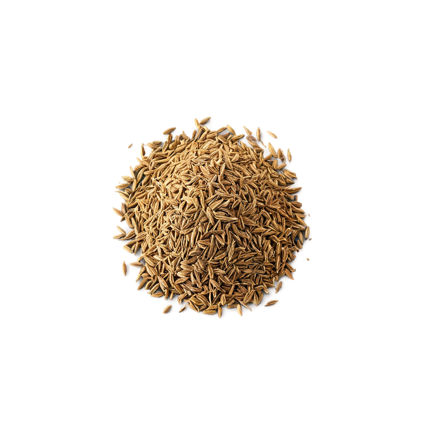 Cumin Herbs isolated on transparent background, #6909