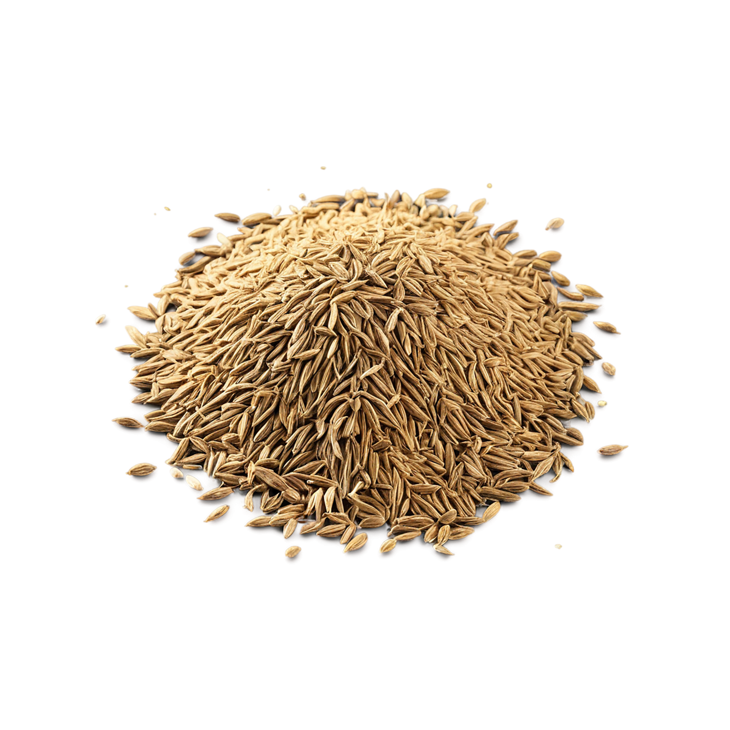 Cumin Herbs isolated on transparent background, #6910