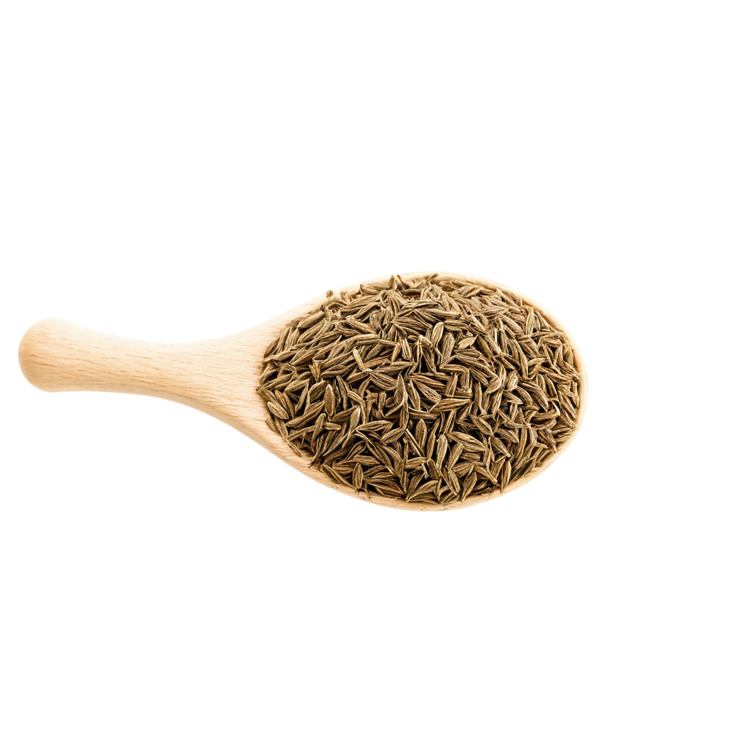 Cumin Herbs isolated on transparent background, #6911
