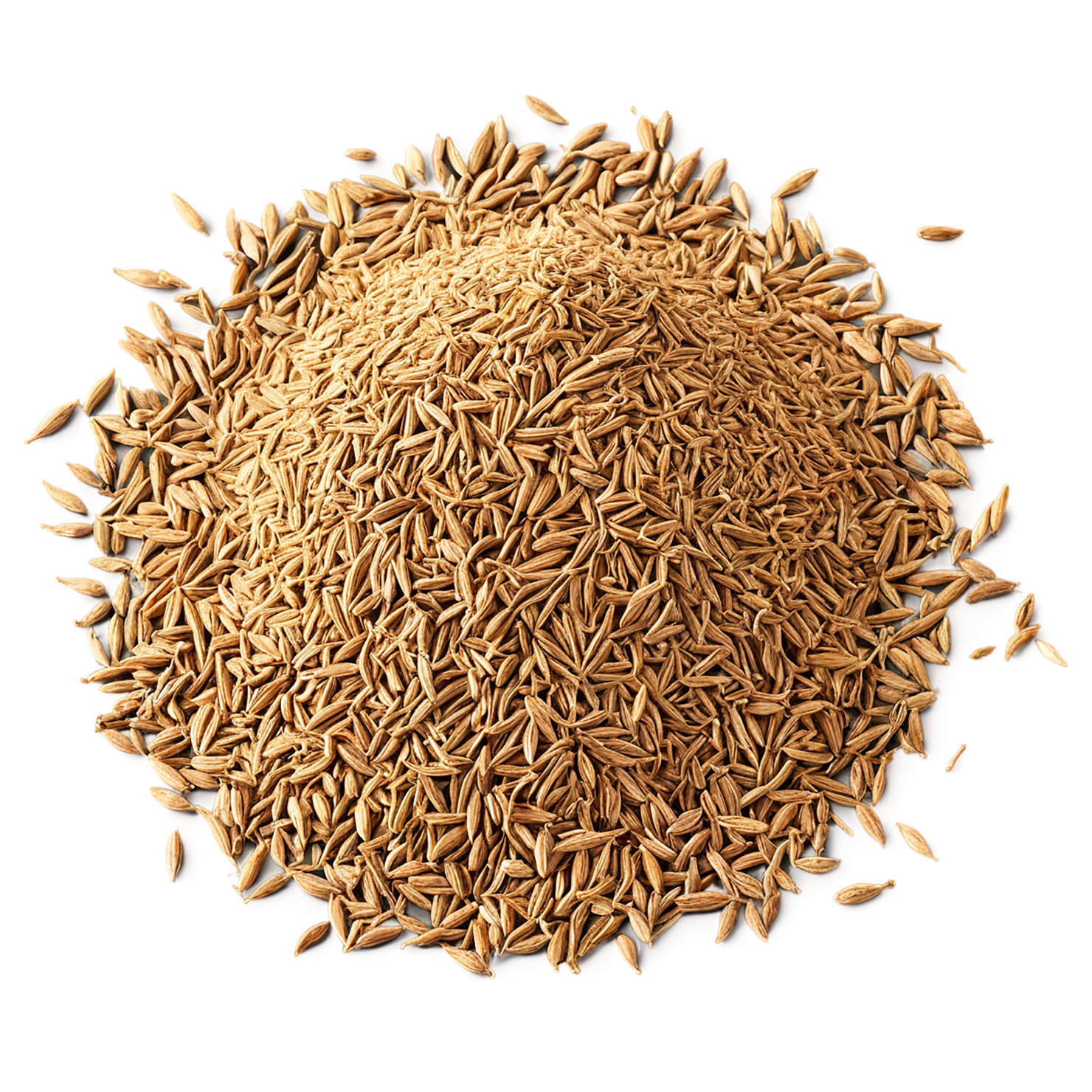 Cumin Herbs isolated on transparent background, #6912