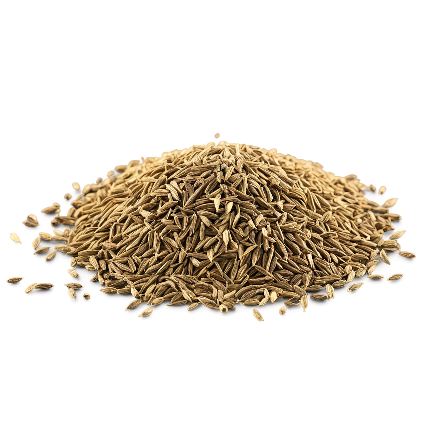 Cumin Herbs isolated on transparent background, #6913