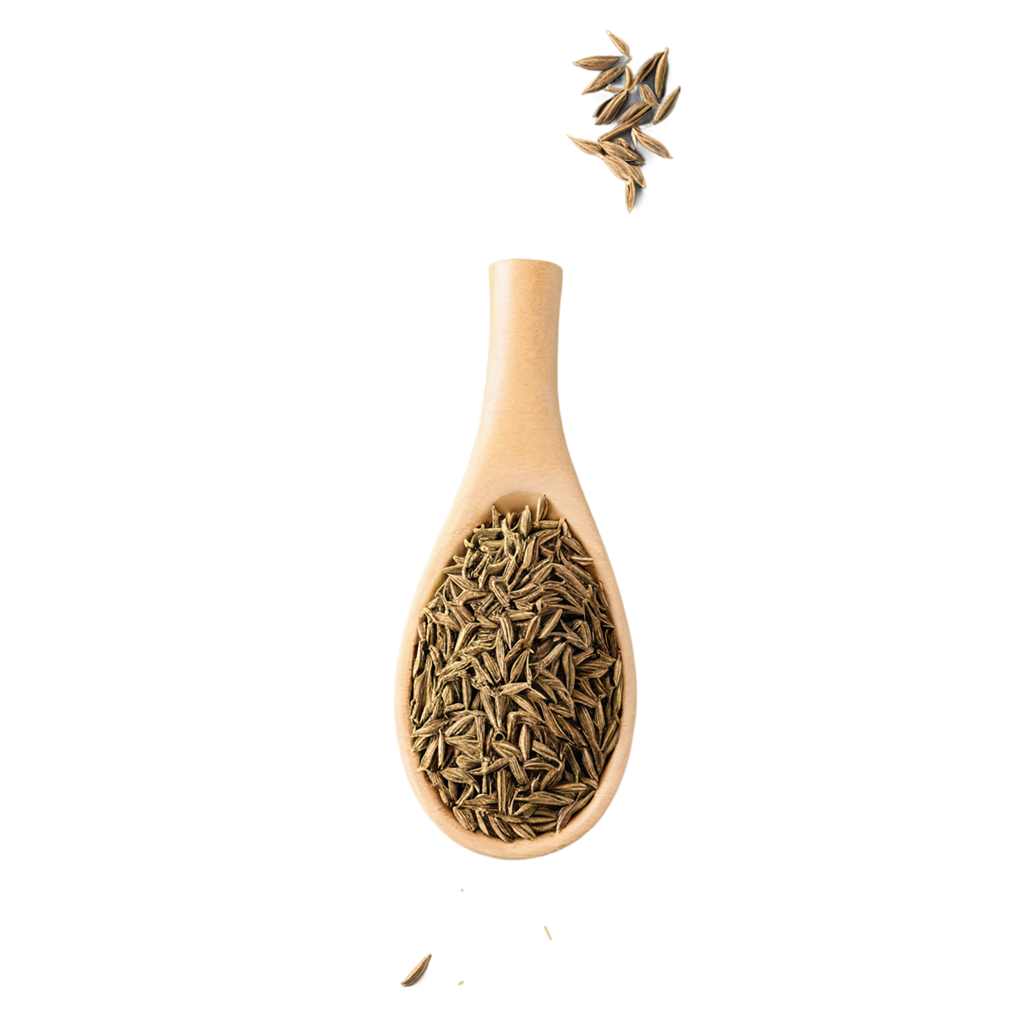 Cumin Herbs isolated on transparent background, #6914