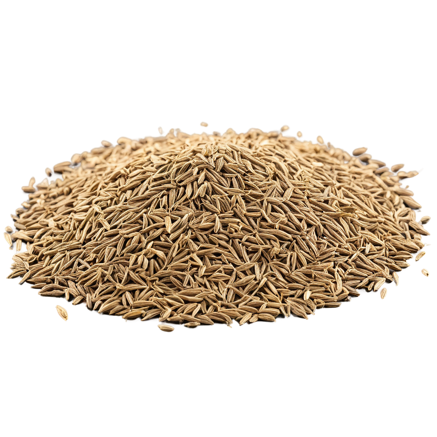Cumin Herbs isolated on transparent background, #6916